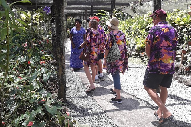 Nadi Sightseeing Including Viseisei Lookout, Village Tour, Garden & Temple Tour - Key points to know before booking