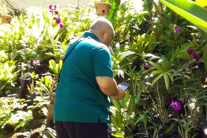 Nadi Sightseeing Including Viseisei Lookout, Village Tour, Garden & Temple Tour - Small group, sedan, or minivan?