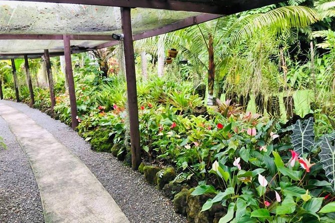 Nadi Sightseeing & Mud Pool Tour - Ex Fiji Marriott, Momi Bay - Why this Nadi day trip works from Momi Bay