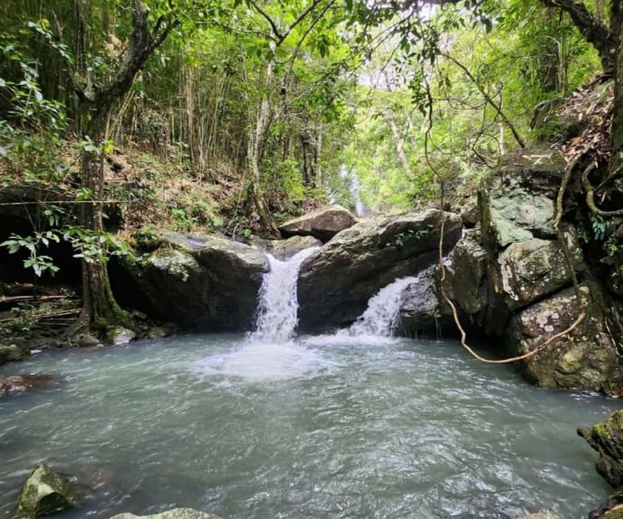 Nadi: Waterfall Tour Adventure with Refreshments and Lunch - Key points before you book