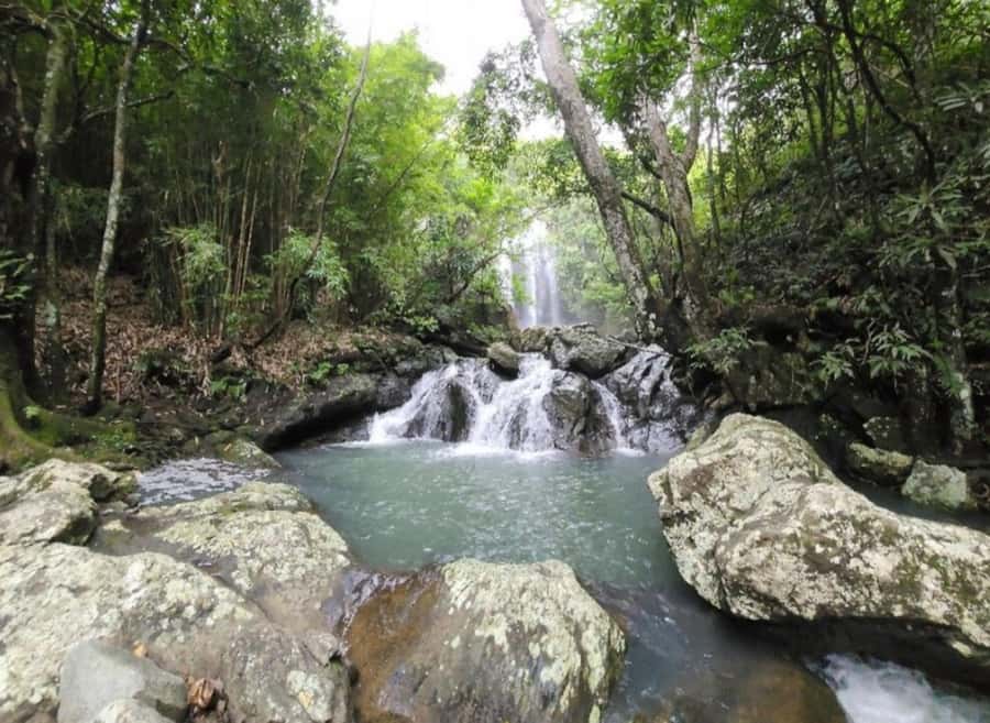 Nadi: Waterfall Tour Adventure with Refreshments and Lunch - A 90-minute walk through rural Fiji