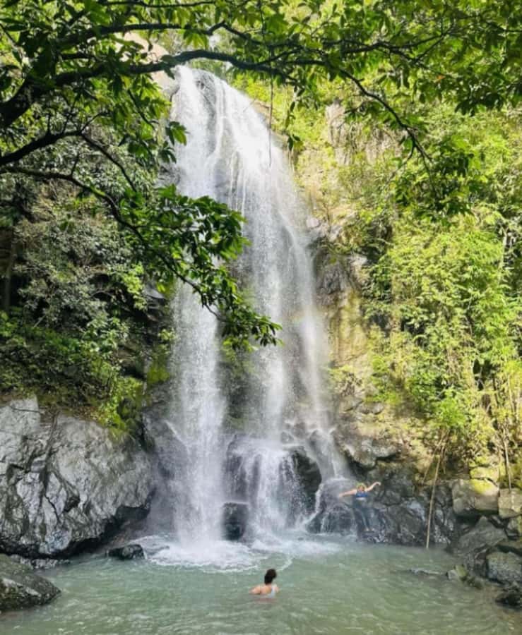 Nadi: Waterfall Tour Adventure with Refreshments and Lunch - Coconut water at the campsite