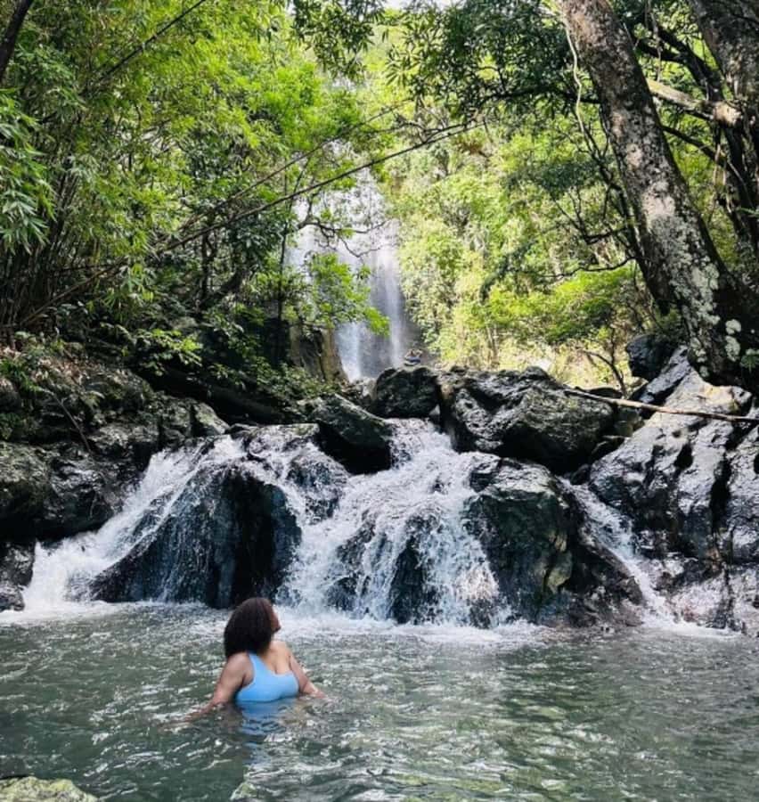 Nadi: Waterfall Tour Adventure with Refreshments and Lunch - Feeding farm animals after lunch