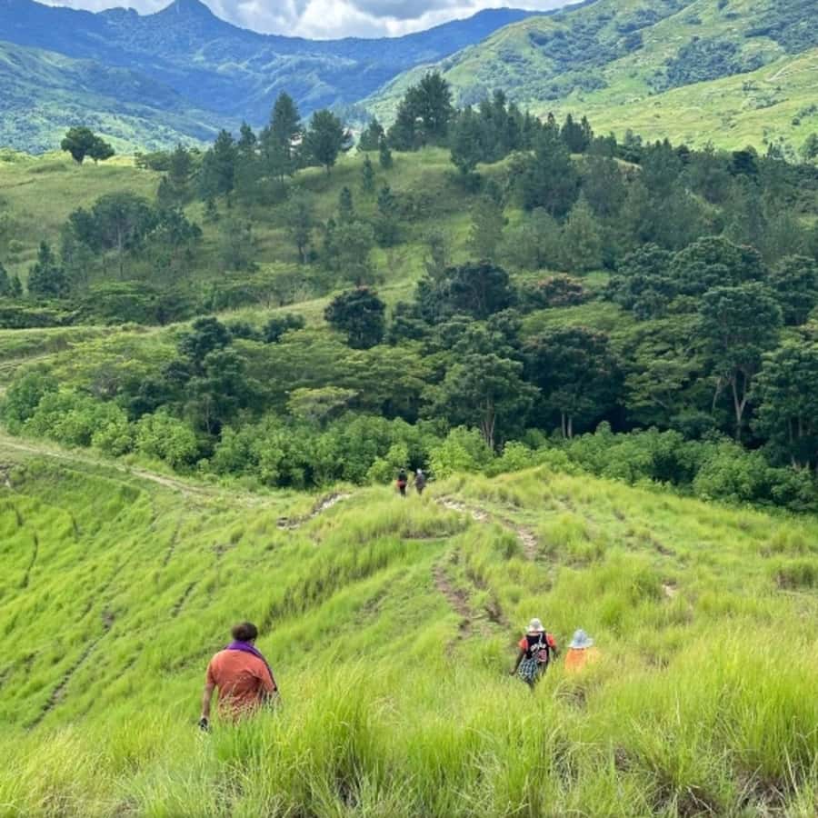 Nadi: Waterfall Tour Adventure with Refreshments and Lunch - What $140 includes, and where the value depends