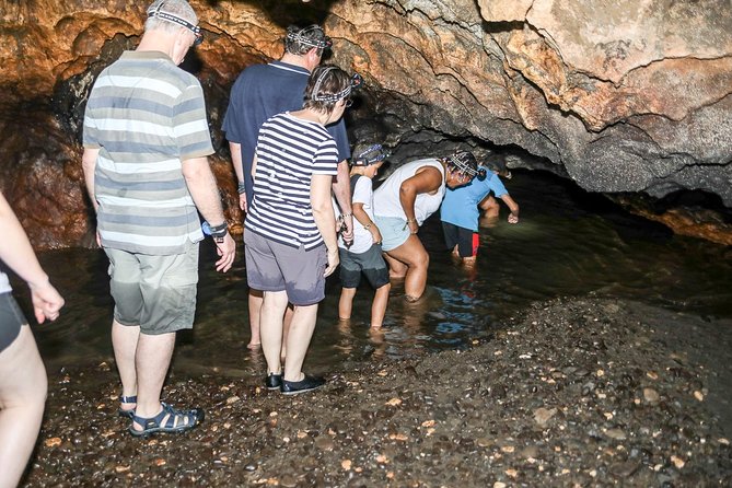 Naihehe Cave Safari in Sigatoka with BBQ Lunch - Inside Naihehe Cave