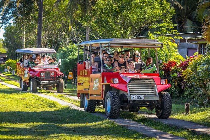 Naihehe Cave Safari in Sigatoka with BBQ Lunch - How much value do you get for $126.53?