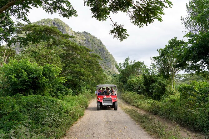 Naihehe Cave Safari in Sigatoka with BBQ Lunch - Who should book this safari?