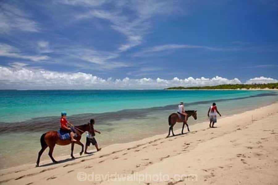 Natadola Beach Tour With Tifajek Mud Pool & Hotspring - What the $102 price really covers