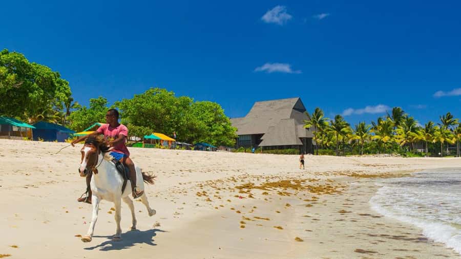 Natadola Beach Tour With Tifajek Mud Pool & Hotspring - The mixed service record calls for extra care