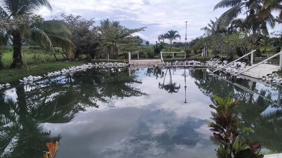 Natadola Beach Tour With Tifajek Mud Pool & Hotspring - Who will enjoy this Fiji day most
