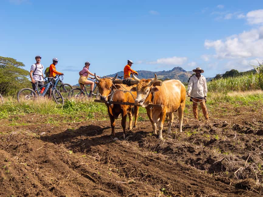 Off-road E-bike Tour with Local Guides - Starting at the Adventure Hub