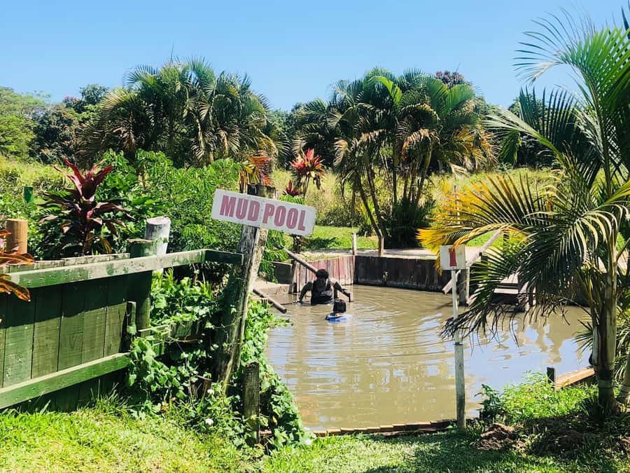 Official: Sabeto Hotspring and Mud Pool Tours & Tickets - Stage one: coat yourself in natural mud