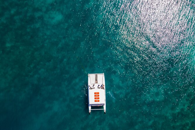 Oolala Cruises on Savala Island - The service style and what the ratings tell you