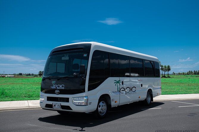 Private Arrival Transfer - Nadi Airport to Hotel - Private transport, not a shared airport shuttle