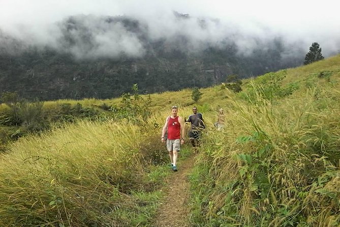 Private Breathtaking Koroyanitu Half Day Waterfall Hike - Key points about the Koroyanitu waterfall hike