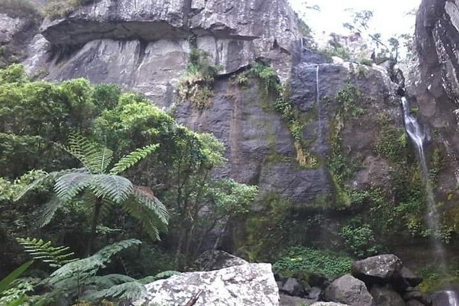 Private Breathtaking Koroyanitu Half Day Waterfall Hike - Why Koroyanitu is a welcome change from the coast