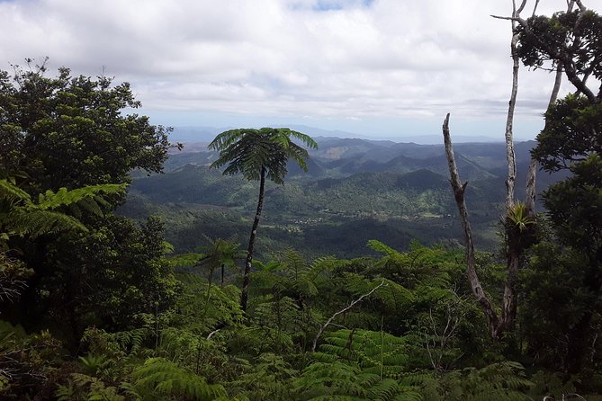 Private Breathtaking Mnt Victoria Day Trek - The six-hour climb to Mount Victoria
