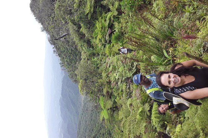 Private Breathtaking Mnt Victoria Day Trek - Peni’s role in the experience