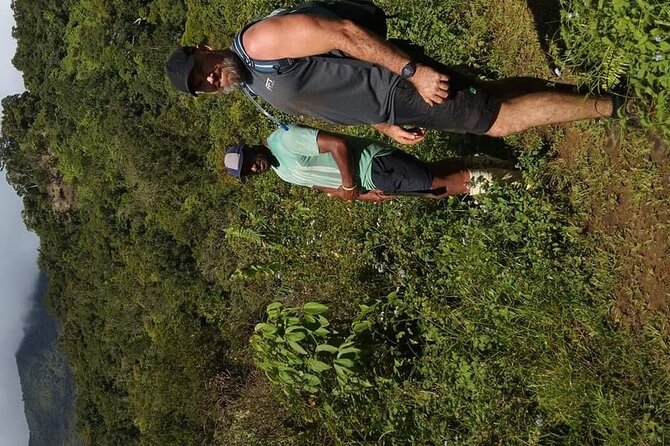 Private Breathtaking Mnt Victoria Day Trek - What the $329.25 price means