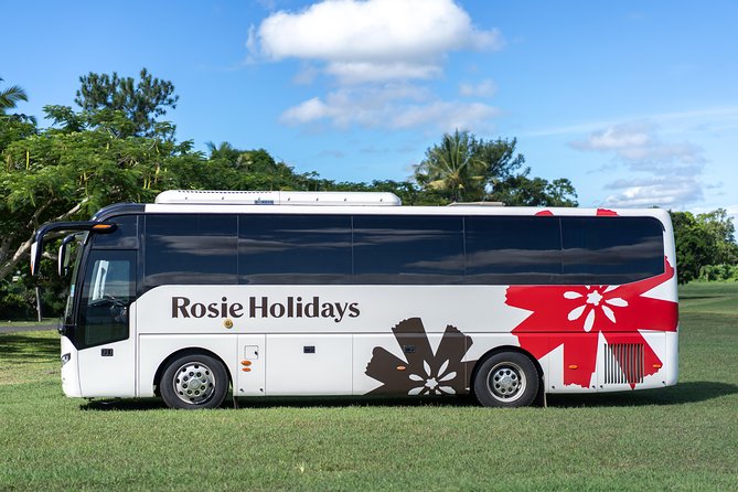 Private Premium Departure Transfer : Hotel to Nadi Airport - What the Service Does Well