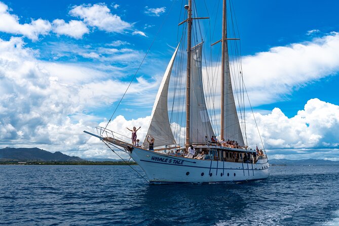 Private Roundtrip Transfer - Nadi Airport to Shangri-La Fijian Resort - The return transfer from Shangri-La