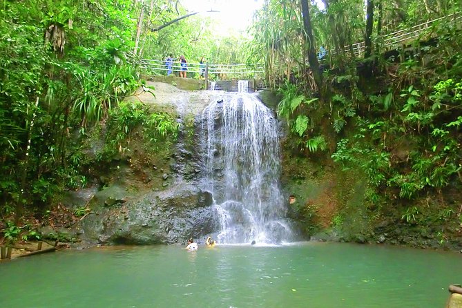 Private Suva Nature and Waterfall Tour - Swimming, jumping, and rainforest walking