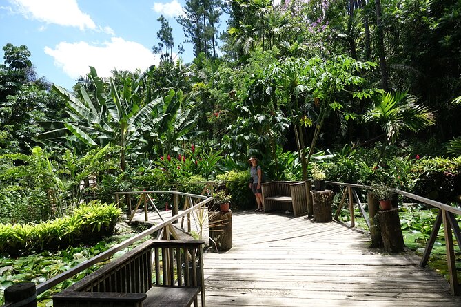 Private Tour: Best of Nadi Highlights - Sabeto Hot Springs and Mud Pool: fun, messy, and basic