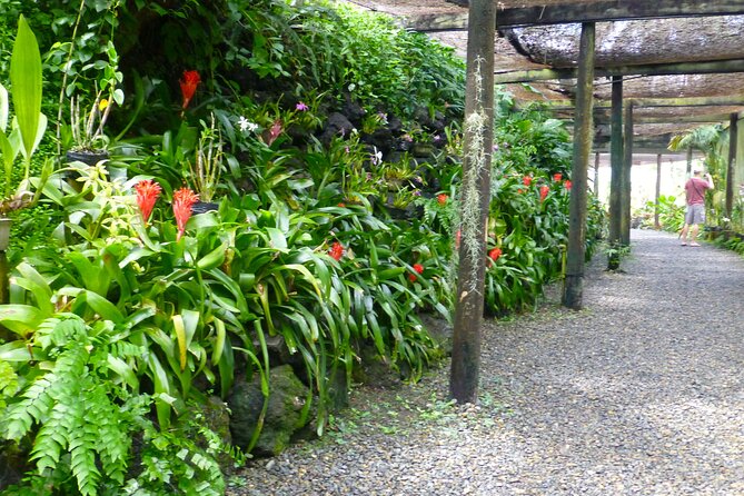 Private Tour: Best of Nadi Highlights - The driver-guide can shape the whole experience