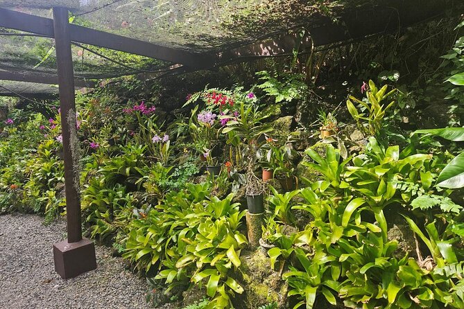 Private Tour: Best of Nadi Highlights - Price, timing, and what you receive