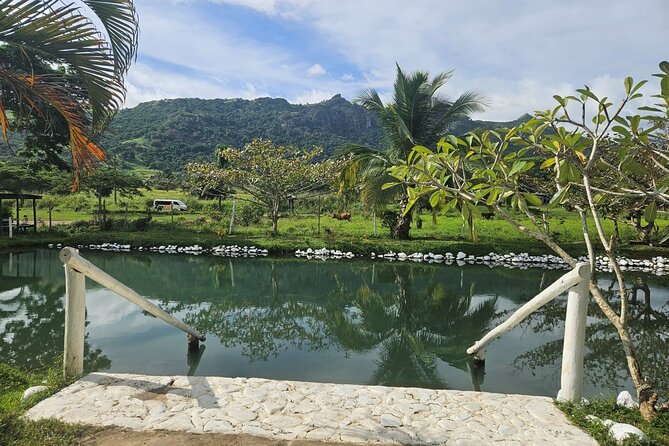 Private Tour: Hot spings & Sleeping Giant Garden hiking Adventure - A private driver changes the pace