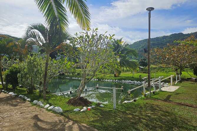 Private Tour: Hot spings & Sleeping Giant Garden hiking Adventure - Who will get the most from this tour