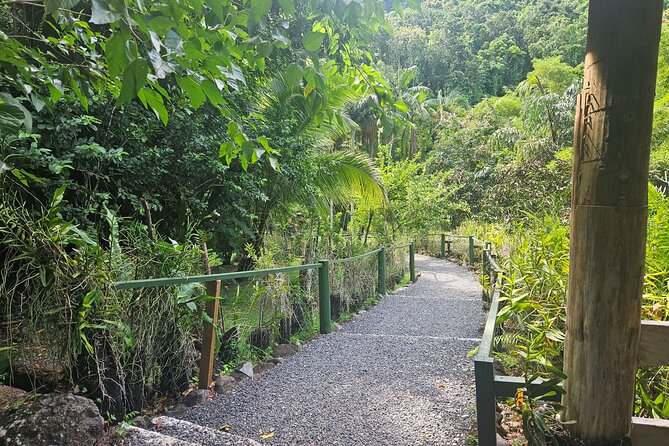 Private Tour: Hot spings & Sleeping Giant Garden hiking Adventure - How to make the day better