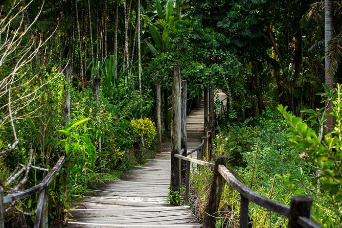 Private Tour: Hot spings & Sleeping Giant Garden hiking Adventure - Garden of the Sleeping Giant and its orchid paths