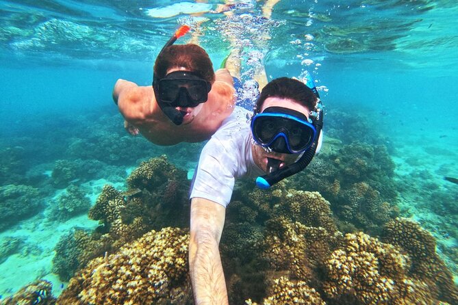 Ride & Slide by South Sea Cats - Half Day Snorkelling Trip - A light lunch and a well-stocked afternoon