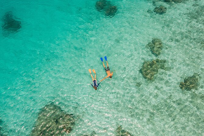 Ride & Slide by South Sea Cats - Half Day Snorkelling Trip - Is $107.10 good value?