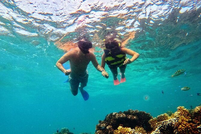 Ride & Slide by South Sea Cats - Half Day Snorkelling Trip - The afternoon timing and what it means