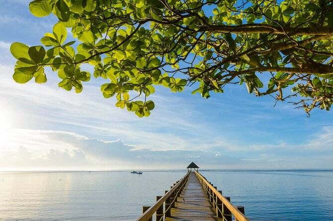 Round The Island Day Trip Fiji- Viti Levu - Rakiraki and the northern road