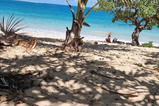 Sand Dunes National Heritage Park& Natadola Beach Half Day Tour - Why the Sigatoka Sand Dunes are worth the drive
