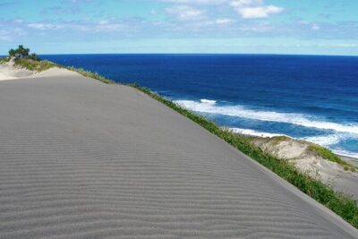 Sand Dunes National Heritage Park& Natadola Beach Half Day Tour