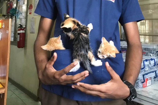 Shelter Visit & Tour - Is $40.17 good value?
