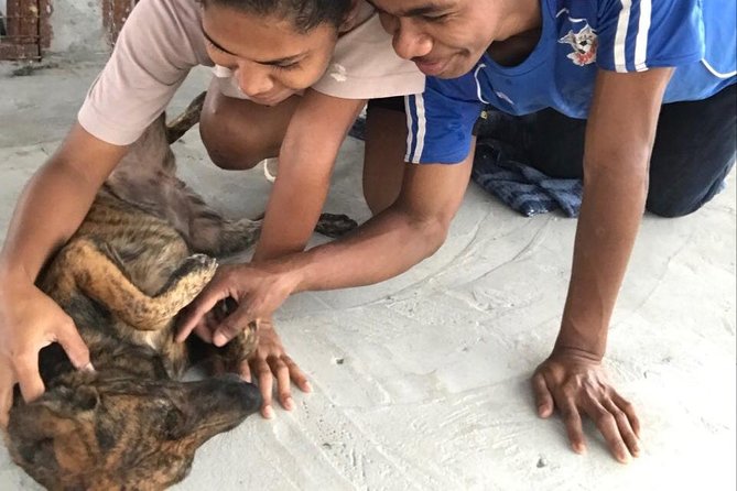 Shelter Visit & Tour - A family-friendly morning, with a few practical limits