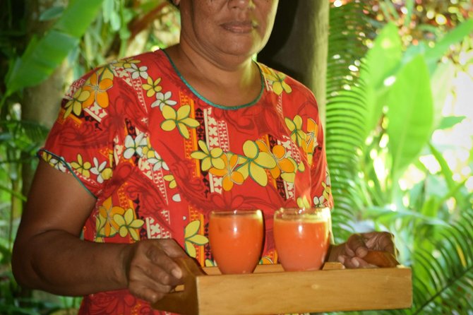 Shore Excursion-Nadi Mudpools,Sleeping Giants Gardens,Markets, Temple & Shopping - Getting muddy at Sabeto Hot Springs
