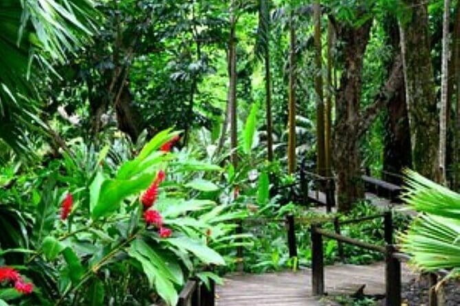 South Sea Island Half Day with Lunch & Drinks - BBQ lunch, local drinks, and the Fijian meke