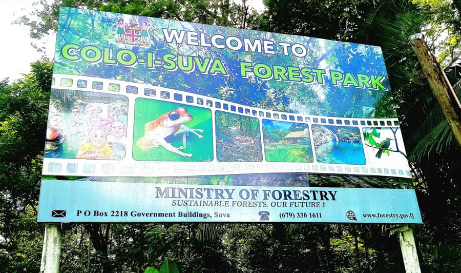 Suva Cruise Ship Tour - Shopping, lunch, and the final return