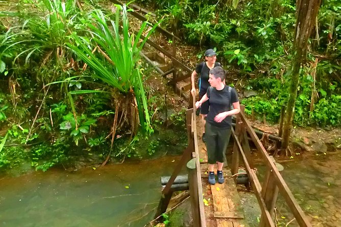 Suva Customized tour- Private - Making Suva your own in three hours