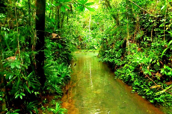 Suva Customized tour- Private - Lunch choices from Chinese to local food