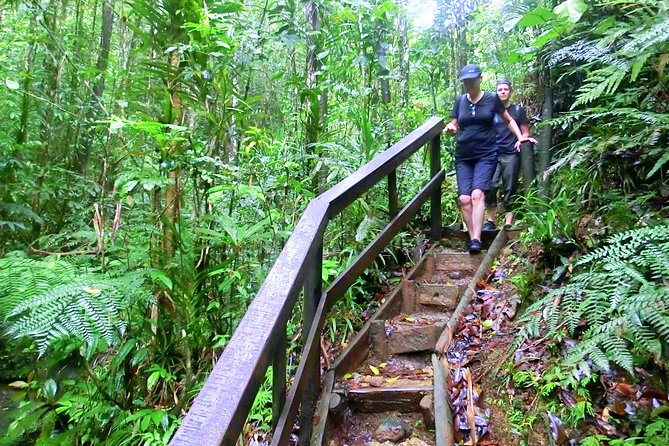 Suva Customized tour- Private - Waterfalls and a possible swim