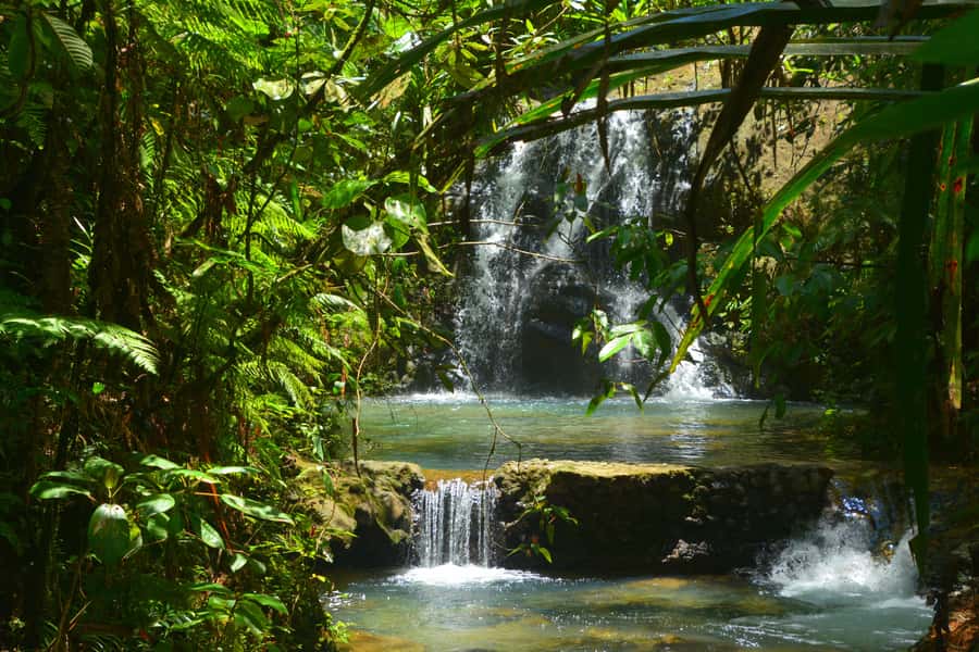 Suva: Fijian Nature and Waterfall Tour - From Suva streets to Colo-I-Suva rainforest