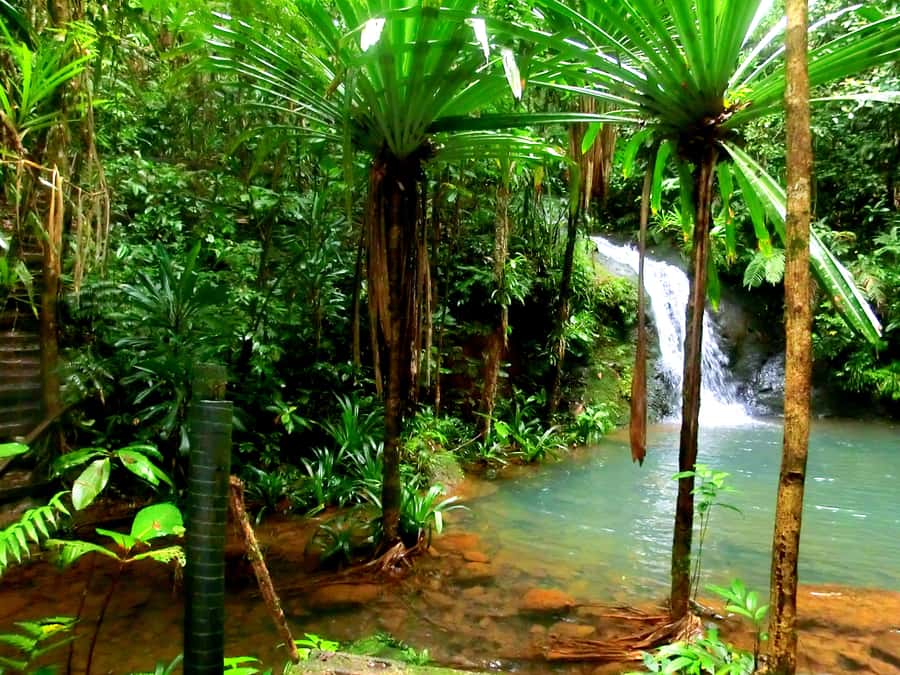 Suva: Fijian Nature and Waterfall Tour - Choosing between the upper and lower pools