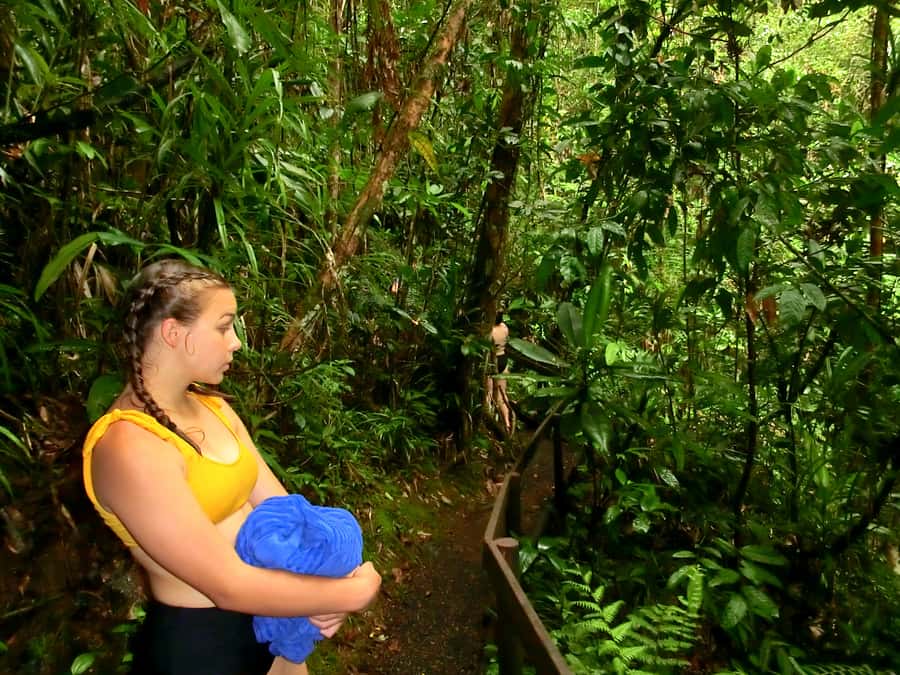 Suva: Fijian Nature and Waterfall Tour - How long should you allow?